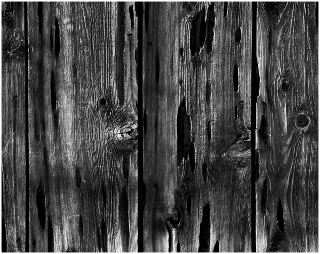 weathered fence abstract 2007 simon planken